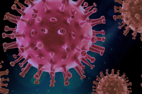 virus 4937553 v2