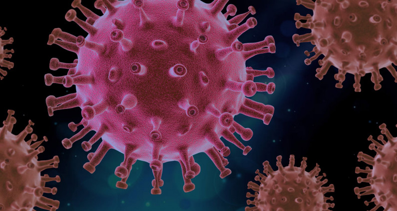 virus 4937553 v2